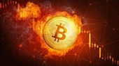 Giá Bitcoin hôm nay 22 10 Bitcoin tăng dựng đứng lên gần 12 900 USD