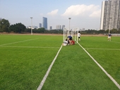 Hàng loạt sân bóng đua nhau mọc trên đất nông nghiệp tại phường Mễ Trì