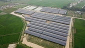 Doanh nghiệp Hà Tĩnh làm dự án nông nghiệp nhưng lắp pin  năng lượng mặt trời