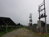 Hàng loạt dự án điện mặt trời lách luật, núp bóng trang trại, lợi dụng ưu đãi ở Hà Tĩnh