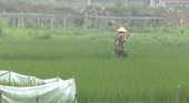 “Hô biến đất nông nghiệp thành đất thổ cư đem ra bán đấu giá, Phó Chủ tịch TP Thái Nguyên tuyên bố vẫn đúng luật