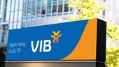 Cổ phiếu VIB tăng mạnh Kết quả kinh doanh là động lực hay game của nhà đầu tư cổ phiếu
