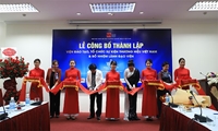 Thành lập Viện Đào tạo, tổ chức sự kiện thương hiệu Việt Nam