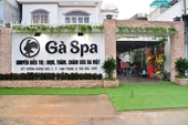 Gà Spa liên tục bị Thanh tra Sở Y tế TP HCM xử phạt