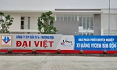 Công ty xi măng Đại Việt đã hoạt động ra sao