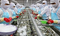 Lỗ nặng nhất sàn chứng khoán, ai là chủ nợ lớn nhất của Thuỷ sản số 4