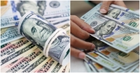 Tỷ giá USD hôm nay 14 9 Đồng USD trong nước tăng