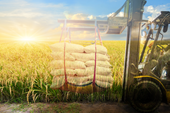 Doanh nghiệp ngành gạo đón trợ lực từ Bac A Bank