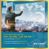 Bac A Bank tiếp tục giảm lãi vay, đồng hành cùng doanh nghiệp
