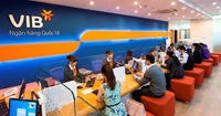 VIB muốn huy động tối đa 4 000 tỷ đồng trái phiếu