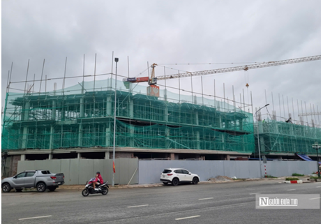 Doanh nghiệp bất động sản của đại gia Đỗ Hữu Hạ sắp chào sàn HoSE