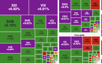 Chứng khoán thăng hoa, sắc xanh tím phủ rộng toàn thị trường
