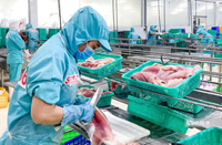 Doanh nghiệp thủy sản bứt phá sau giai đoạn trầm lắng