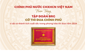 Tập đoàn BRG được trao tặng Cờ Thi đua Chính phủ