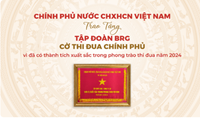 Tập đoàn BRG được trao tặng Cờ Thi đua Chính phủ
